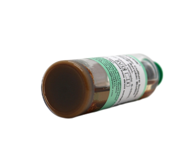 Antibiotic-neutralizing blood culture bottles for adults